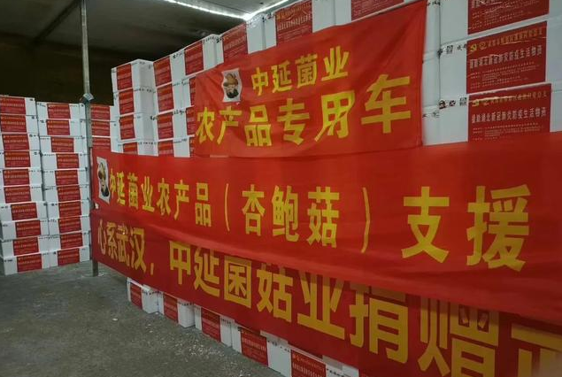 滿載著成都人民關愛的20噸新鮮杏鮑菇馳援湖北