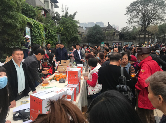 犍為柑橘紅滿天 柑橘文化旅游節承載美好鄉村新未來