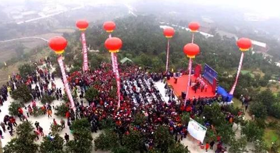 犍為柑橘紅滿天 柑橘文化旅游節承載美好鄉村新未來