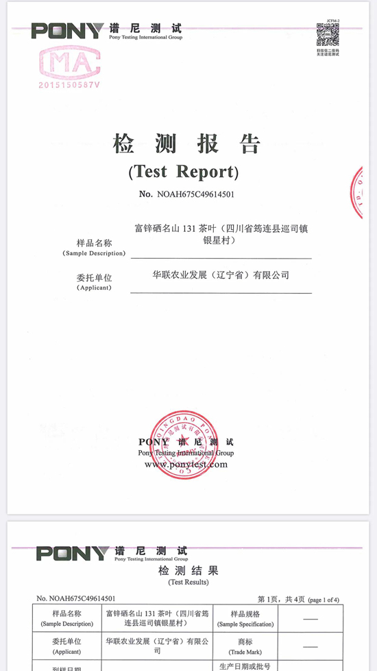 筠連茶爆猛料：初冬采新茶品質提升群眾增收笑開顏