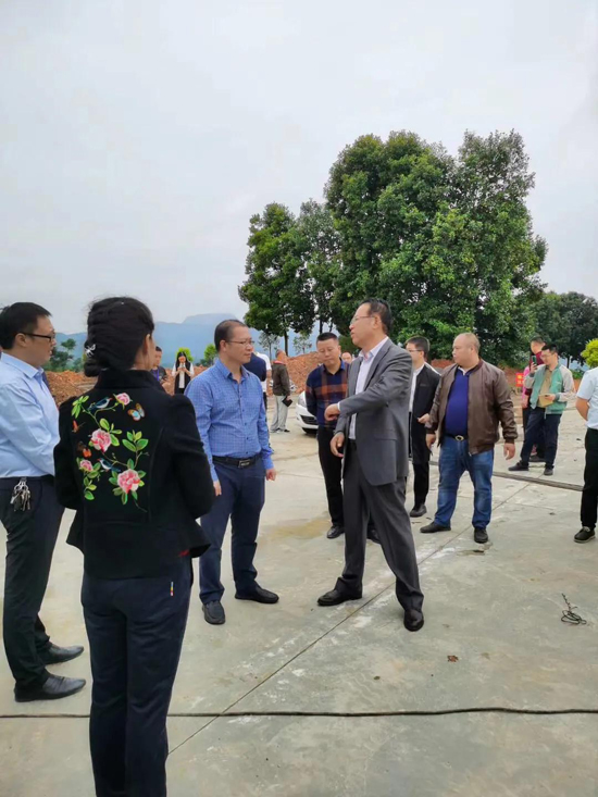 筠連茶爆猛料：初冬采新茶品質提升群眾增收笑開顏