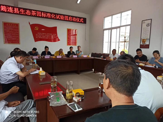 筠連茶爆猛料：初冬采新茶品質提升群眾增收笑開顏